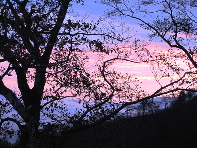 20111025-IMG_5445.JPG 20111025-IMG_5445.JPG
