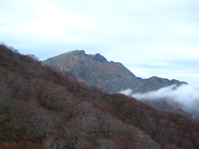20111025-IMG_5454.JPG 20111025-IMG_5454.JPG