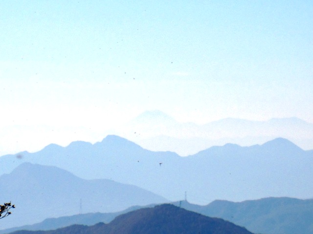 20111029-IMG_5524.JPG 20111029-IMG_5524.JPG