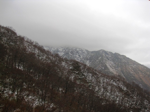 20111119-IMG_5814.JPG 20111119-IMG_5814.JPG