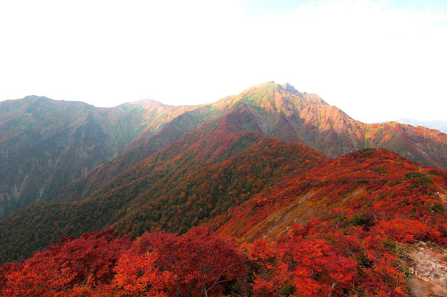 20140908-kouyou4.jpg