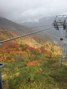 20151013-1444698923864.jpg 20151013-1444698923864.jpg