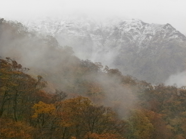 20171019-PA190040.JPG