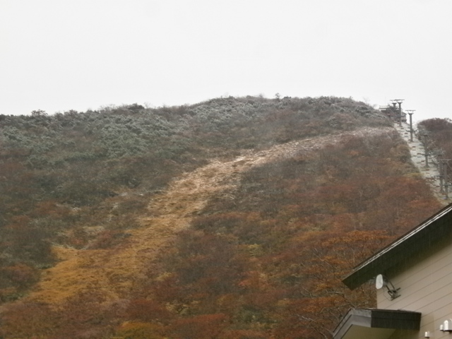 20171019-PA190042.JPG