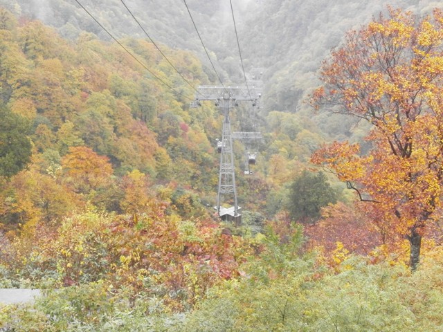 20171022-PA220046.JPG