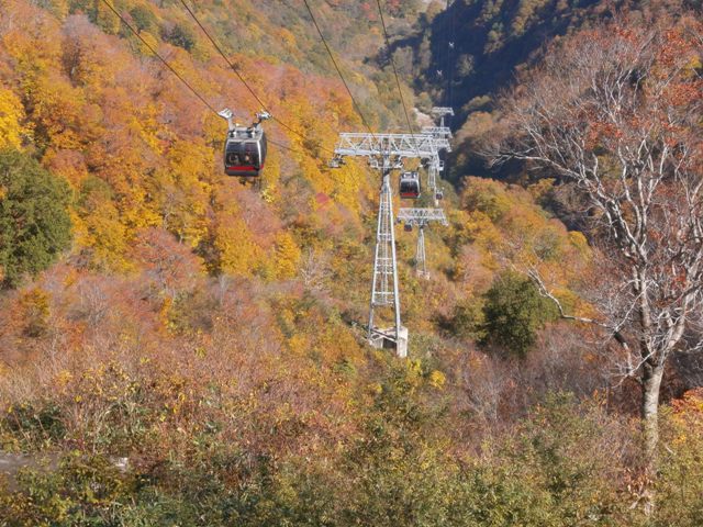 20171026-PA260061.JPG