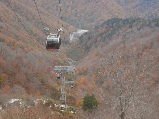 20171101-PB010067.JPG