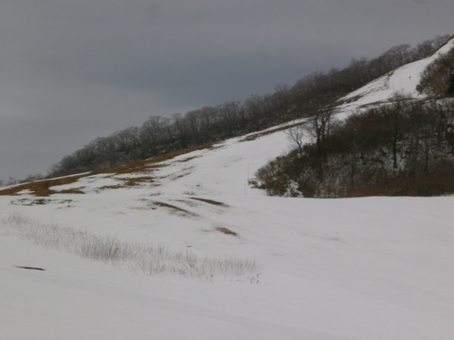 20171130-PB300031.JPG