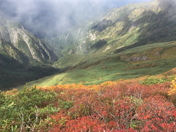 20180925-山頂紅葉a小20180923.jpg